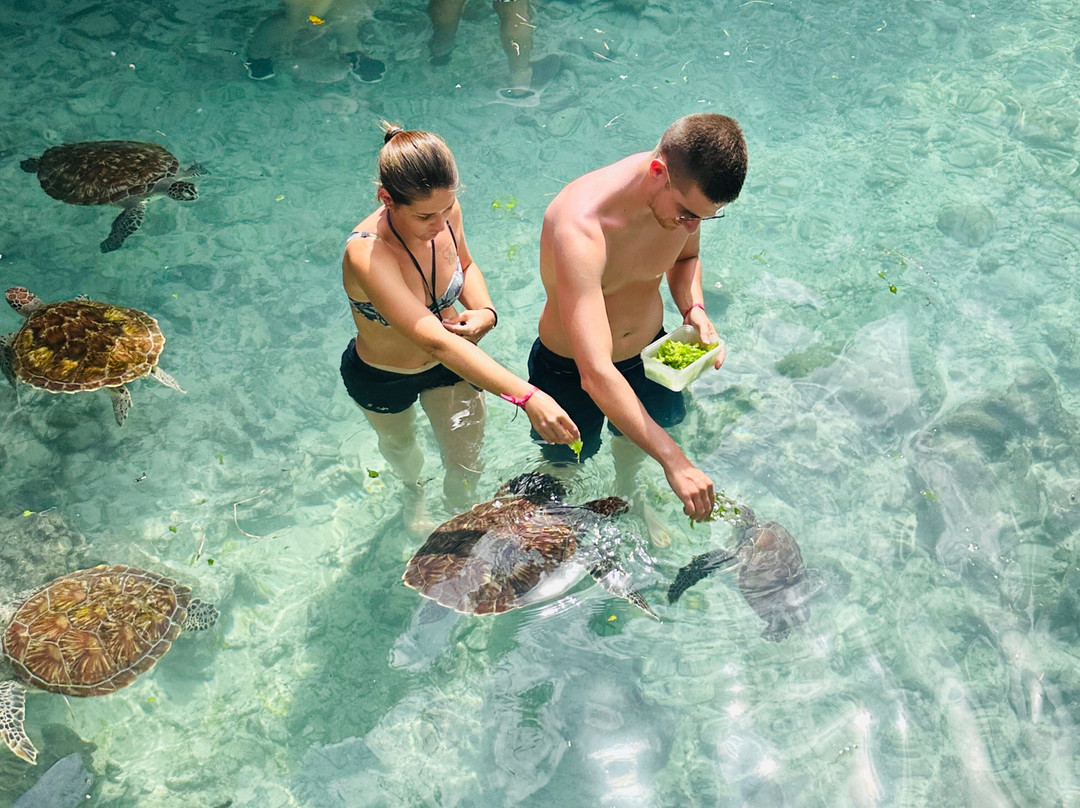 Gouruka excusions zanzibar & safaris measure-Pwani Mchangani必去景点