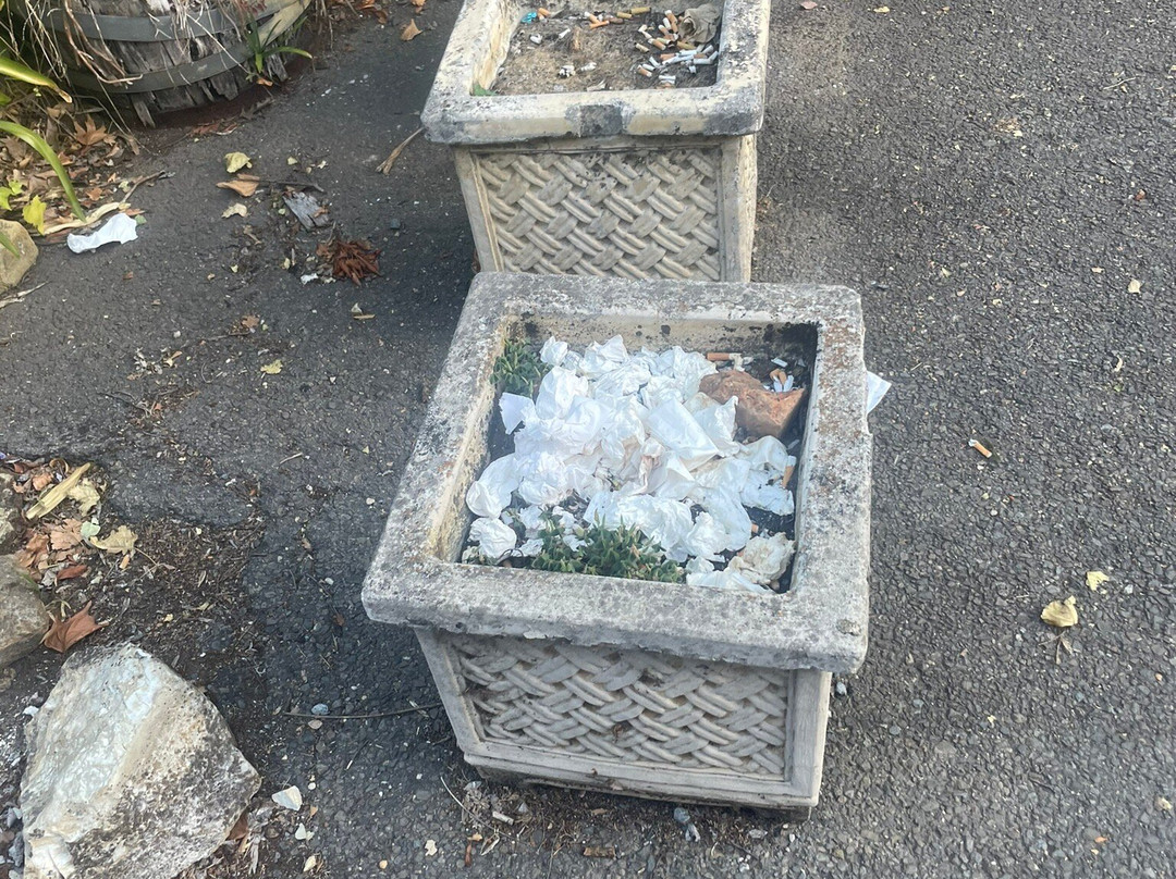 阿恩多夫甘露酒店主图