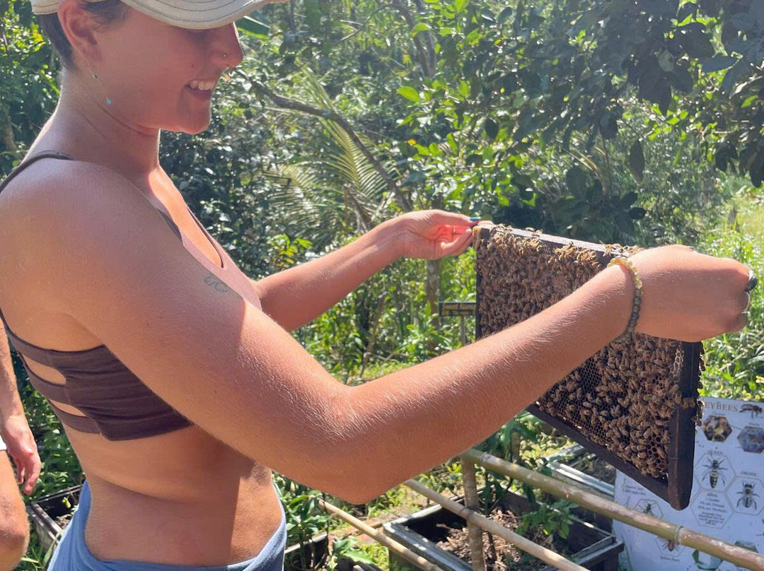 Dharmaisha Yoga & Meditation-Cua Can必去景点