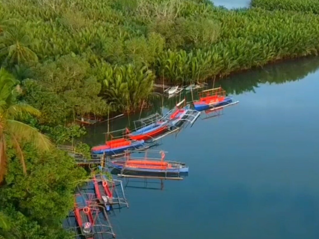 Maribojoc Mangrove Firefly Watching-Maribojoc必去景点