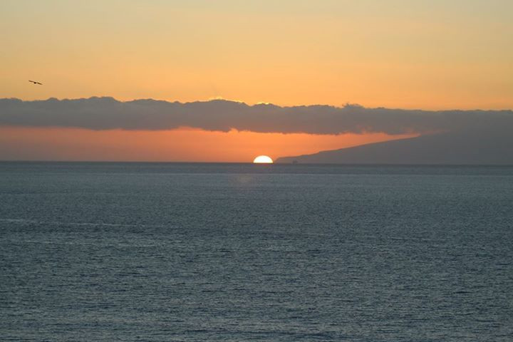 Papagayo Tenerife-美洲海滩必去景点