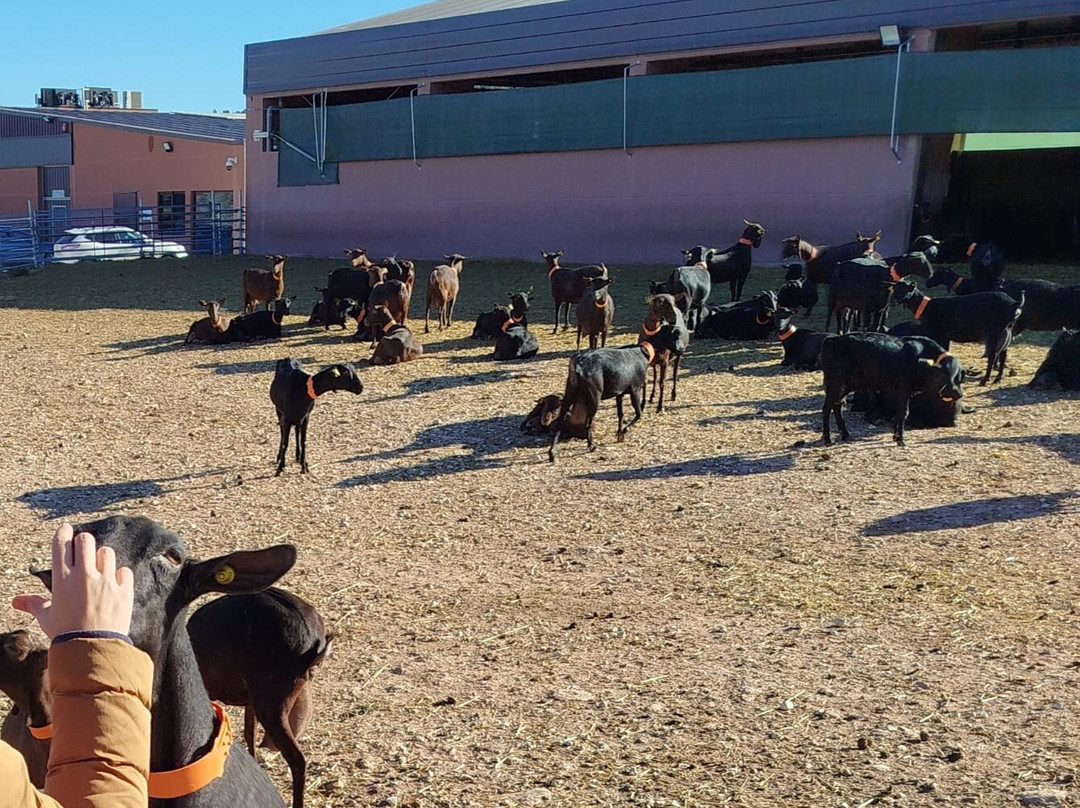 Granja De Cantero De Letur景点图片