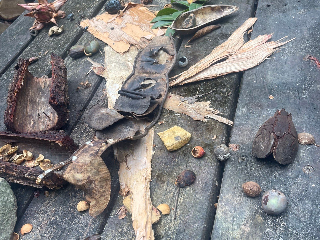 Mossman Gorge Centre Tours-Daintree必去景点