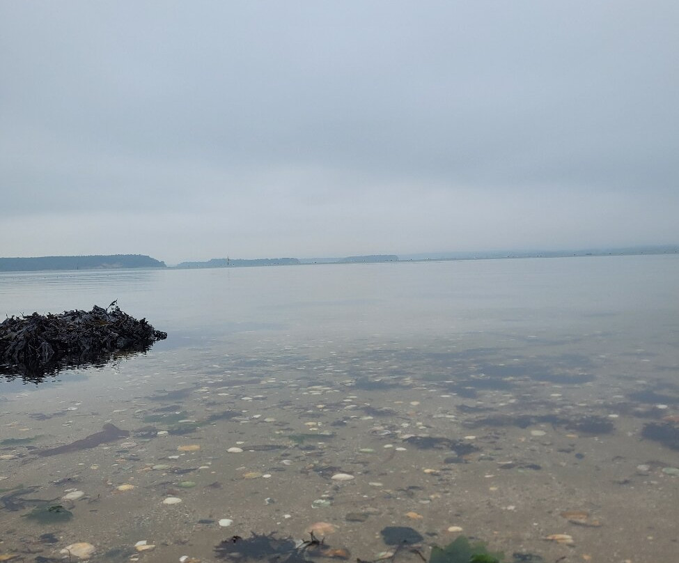 Hamworthy Park-普尔必去景点