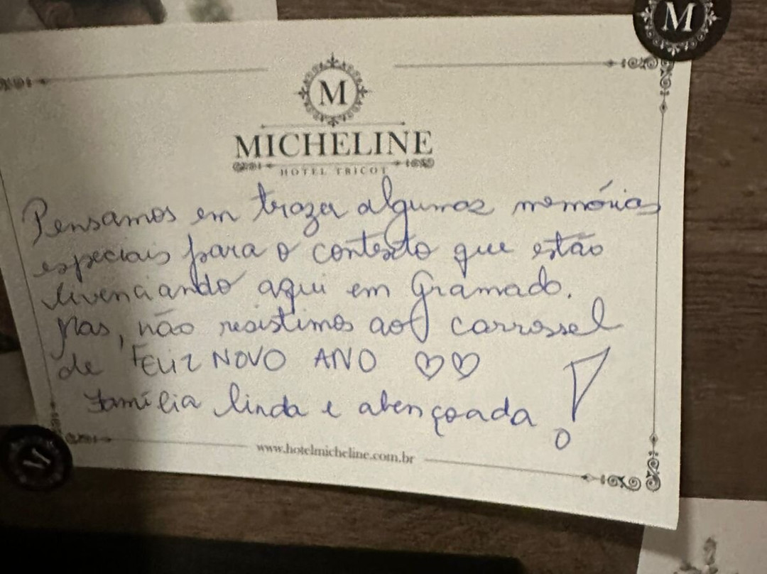 Micheline Hotel Tricot主图