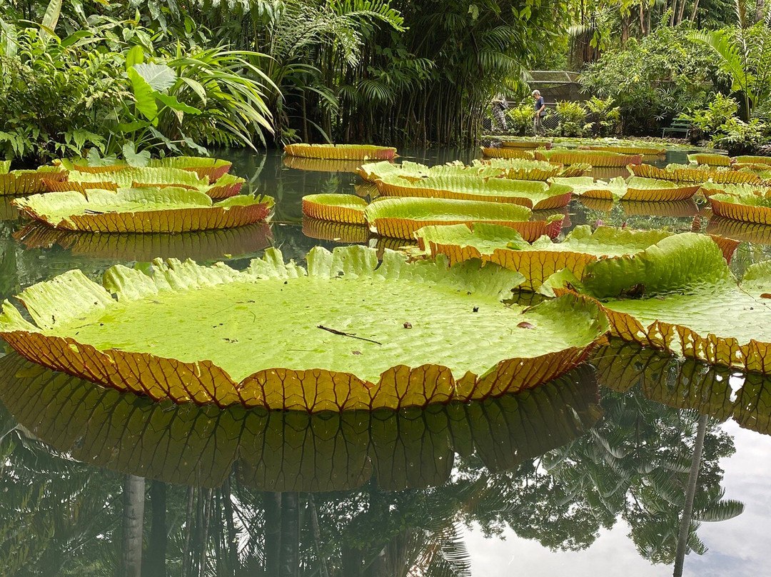 Museu Paraense Emílio Goeldi-贝伦必去景点