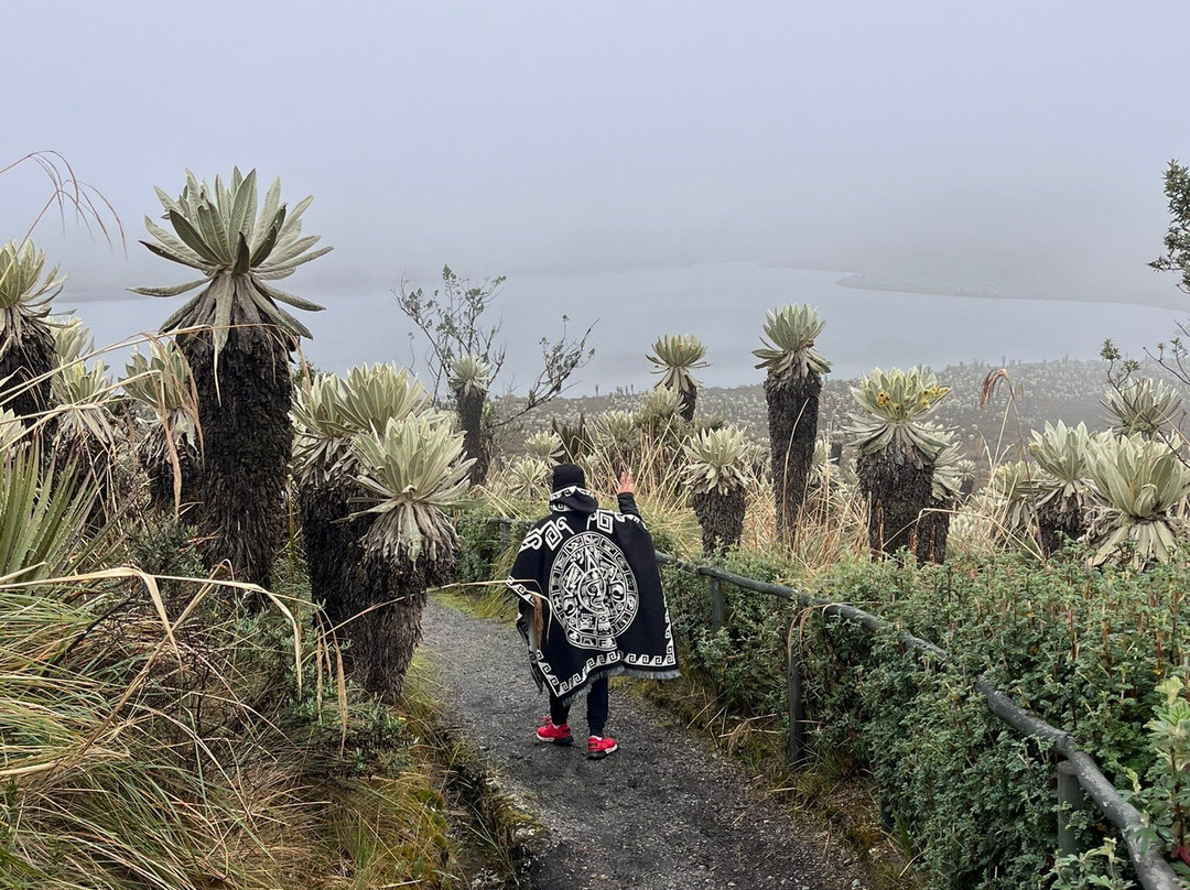 Reserva Ecologica El Ángel-El Angel必去景点