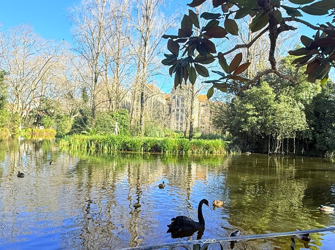 Parque Dom Carlos I景点图片