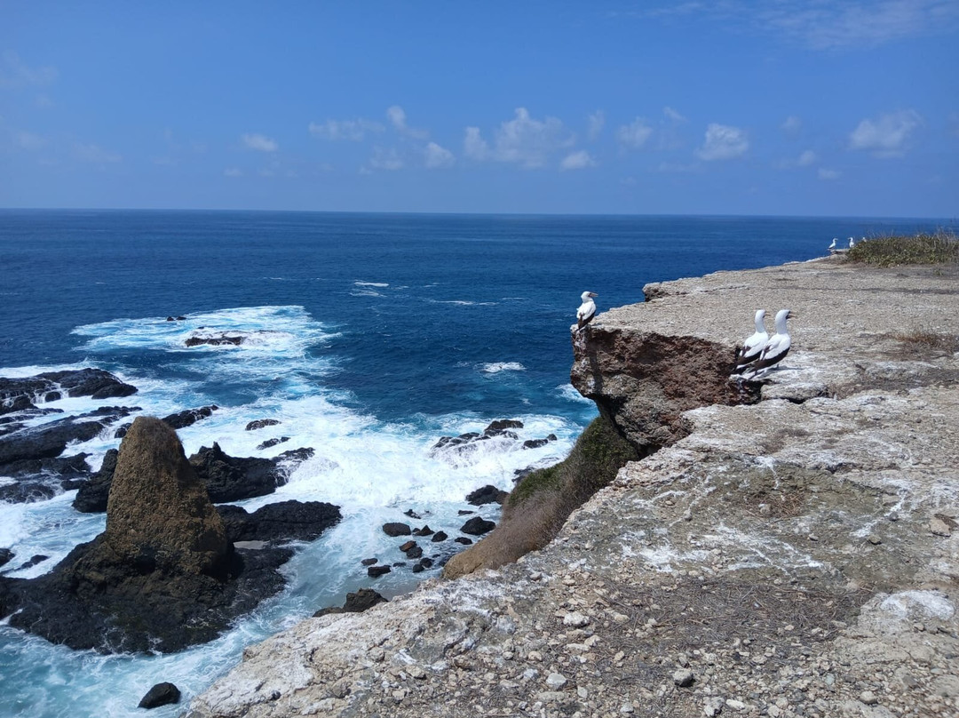 Isla de la Plata景点图片