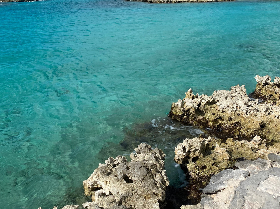 Caleta Buena景点图片