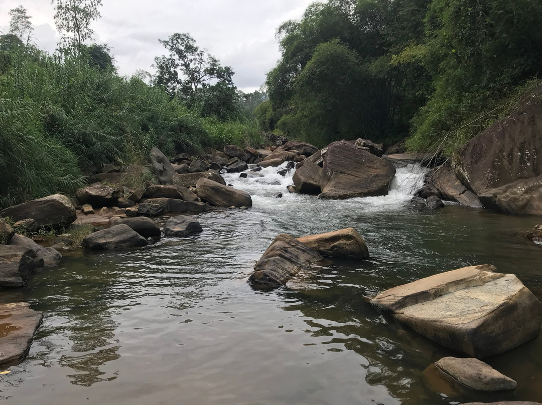 Singing Rivers-Nawalapitiya必去景点