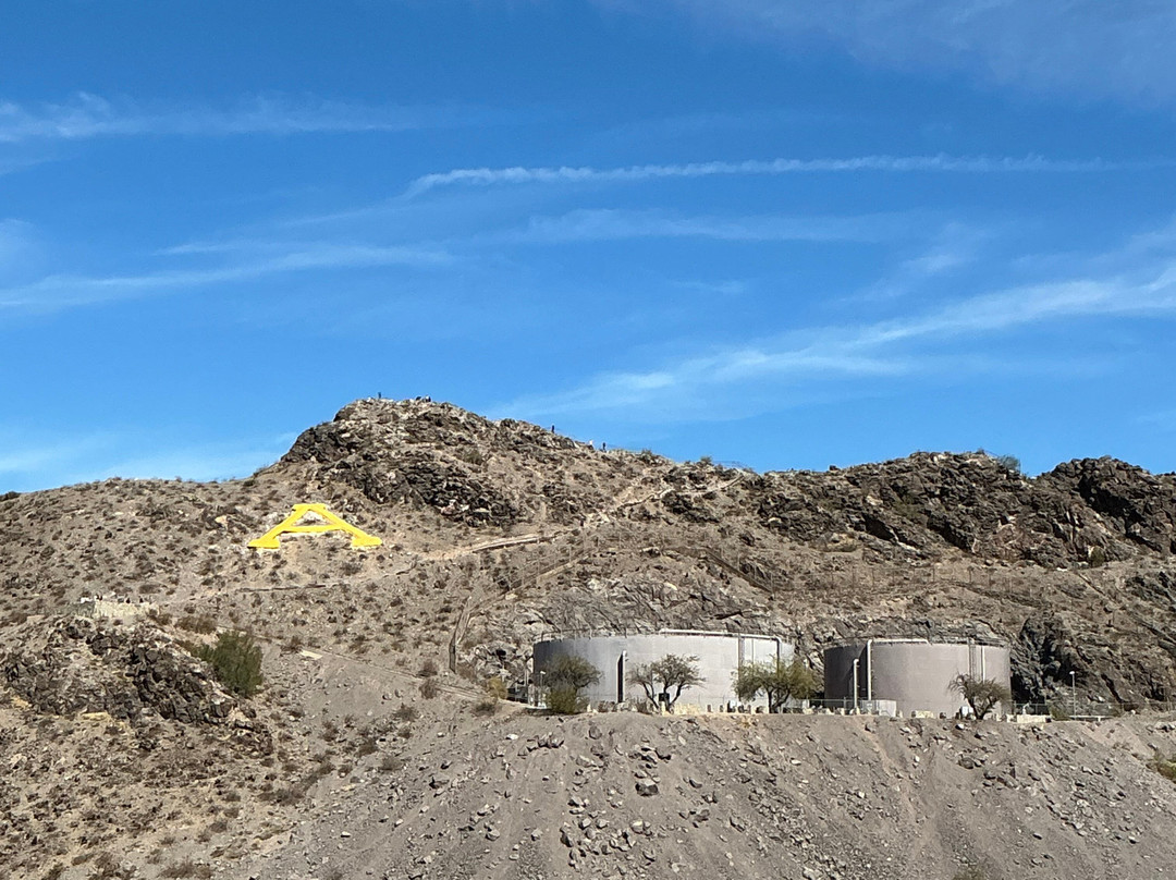 Residence Inn By Marriott - Tempe Downtown/University主图