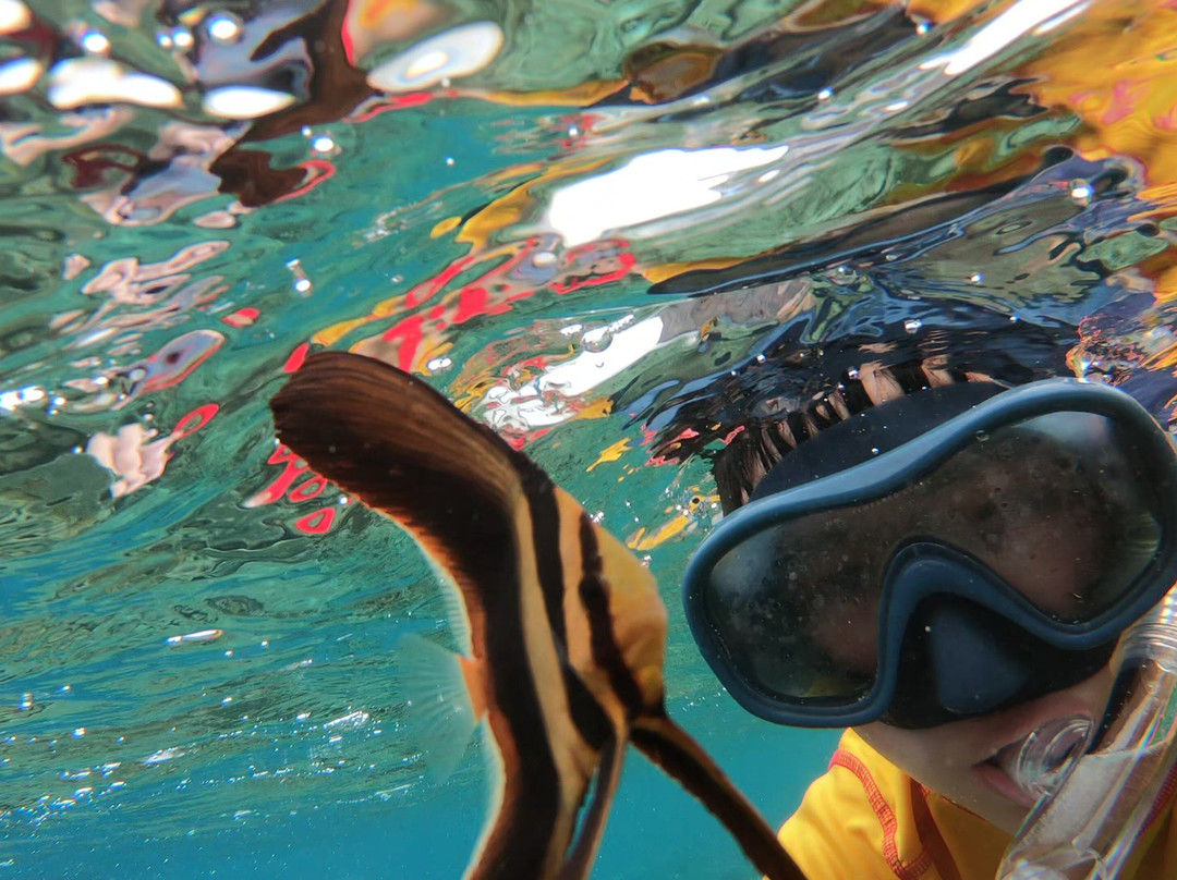 科莫多度假村潜水俱乐部主图