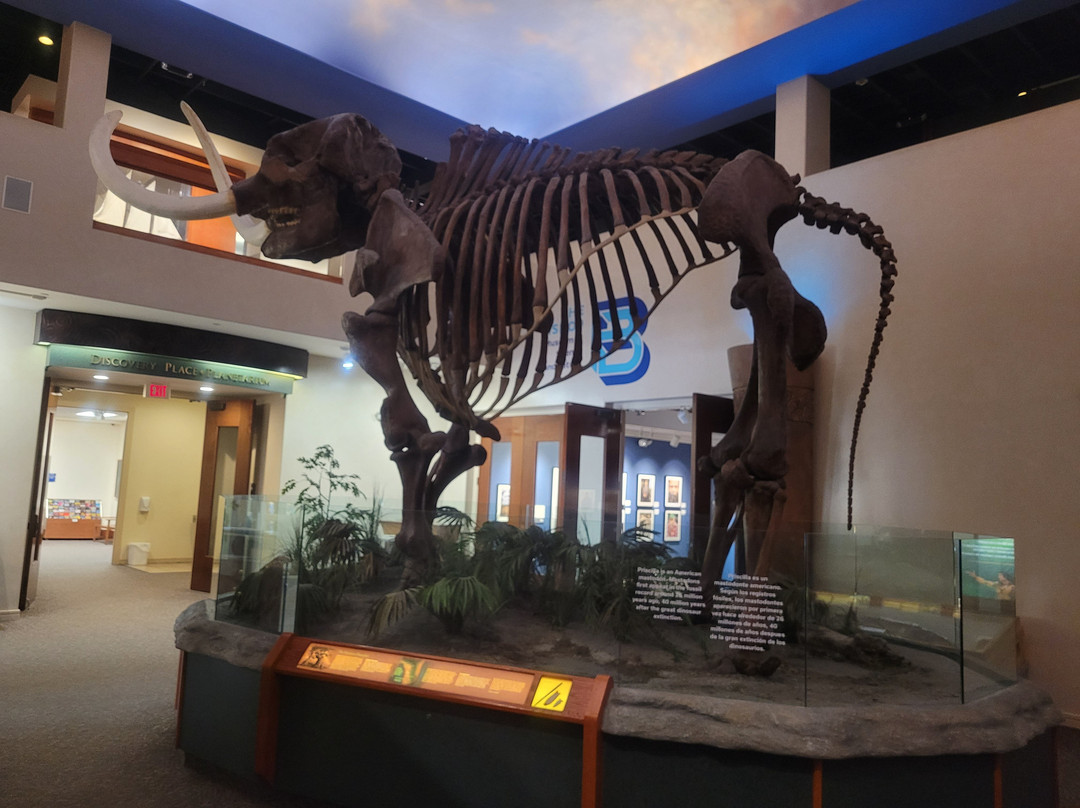 The Bishop Museum Of Science And Nature-布雷登顿必去景点