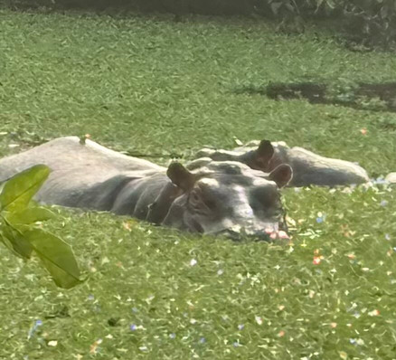 Orango National Park-Bissau必去景点