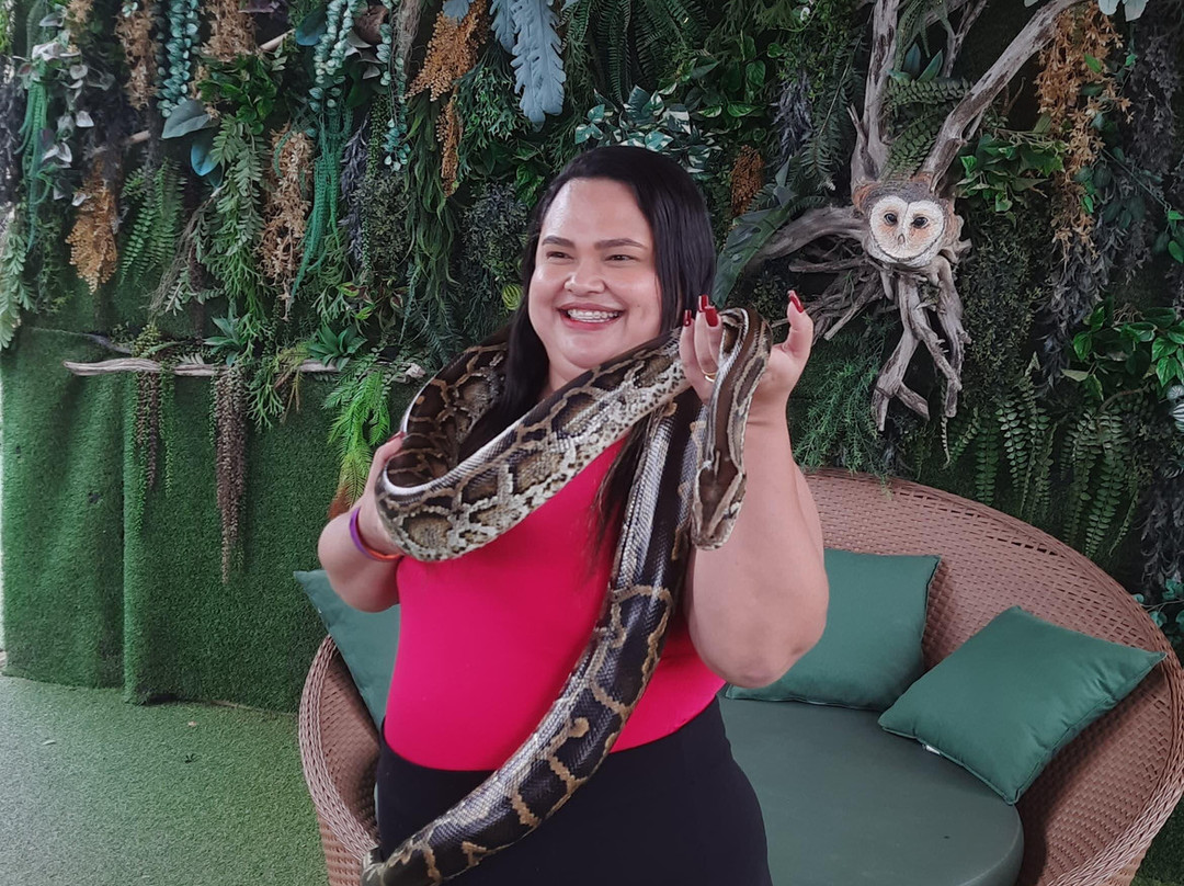 Ecopark Sol e Mar-Maragogi必去景点