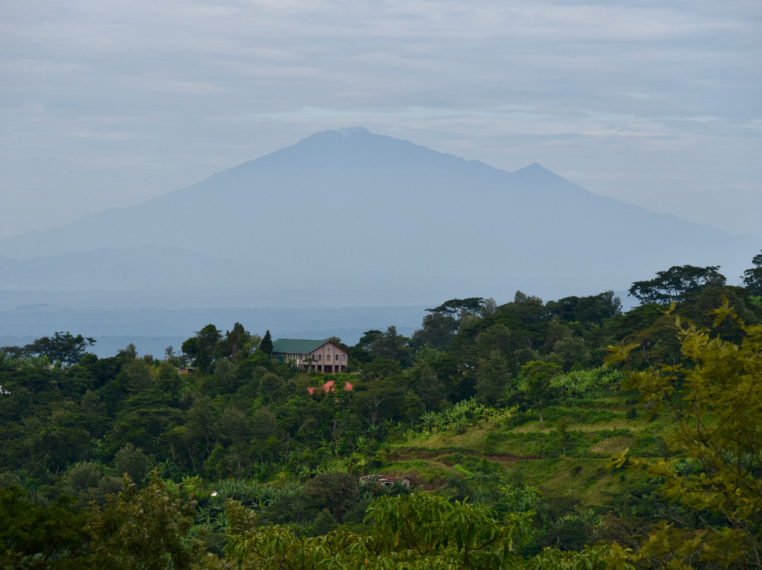 Ambureni Coffee Lodge主图