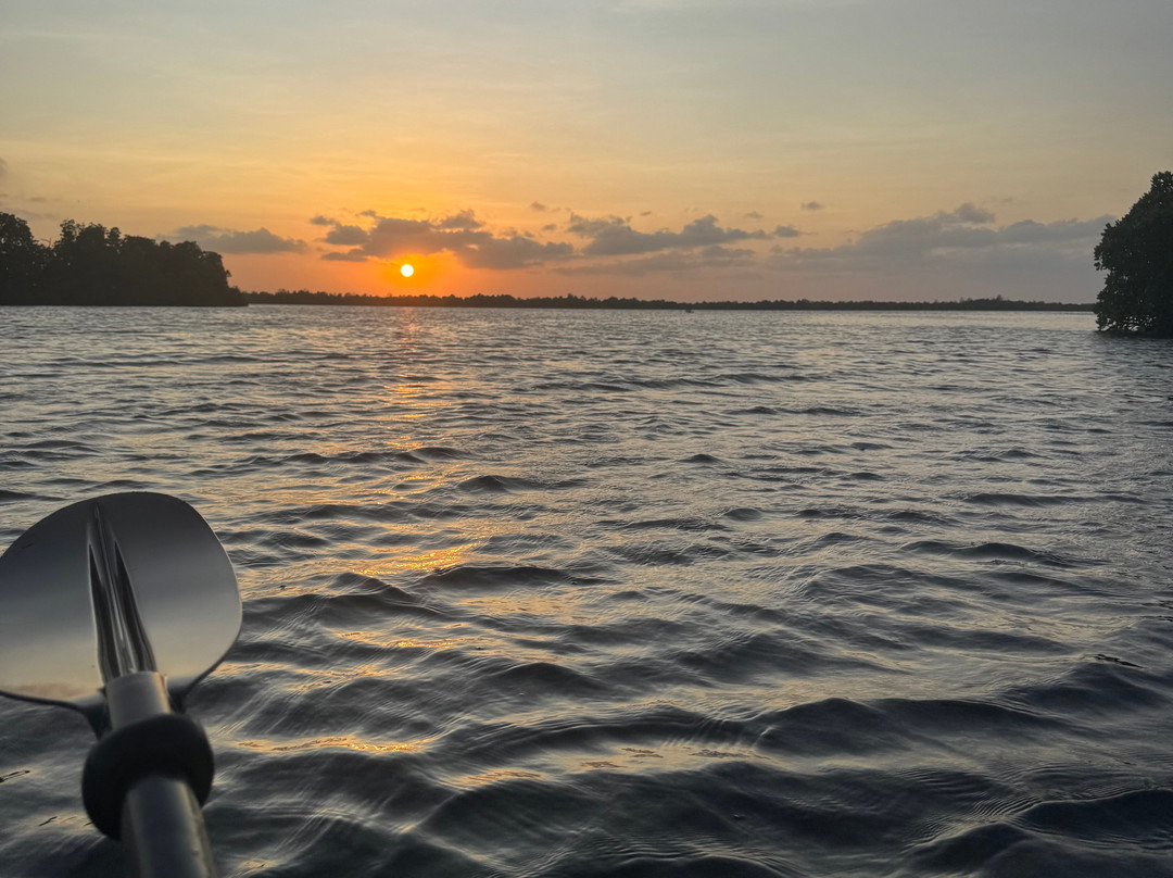 Bwejuu Mangrove Tunnels Kayak-必韦久必去景点