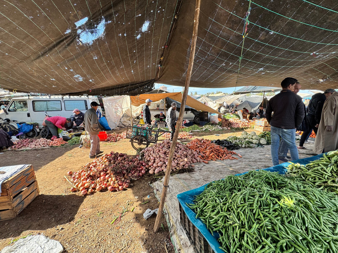 Ourika Trekking-Ourika必去景点