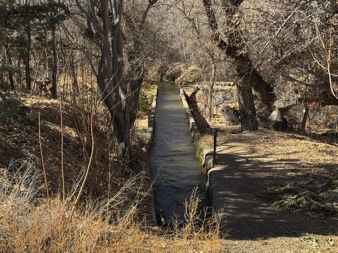 Old Town Square-Cottonwood必去景点