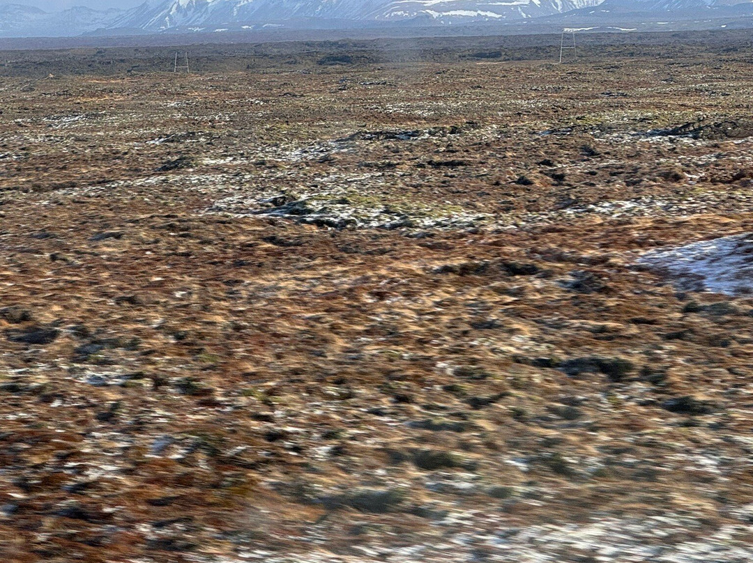 Flybus Airport Transfer-雷克雅未克必去景点