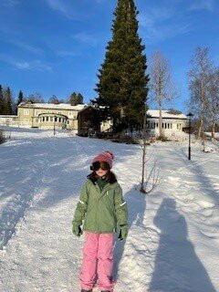 Hotell Åre Fjällsatra主图