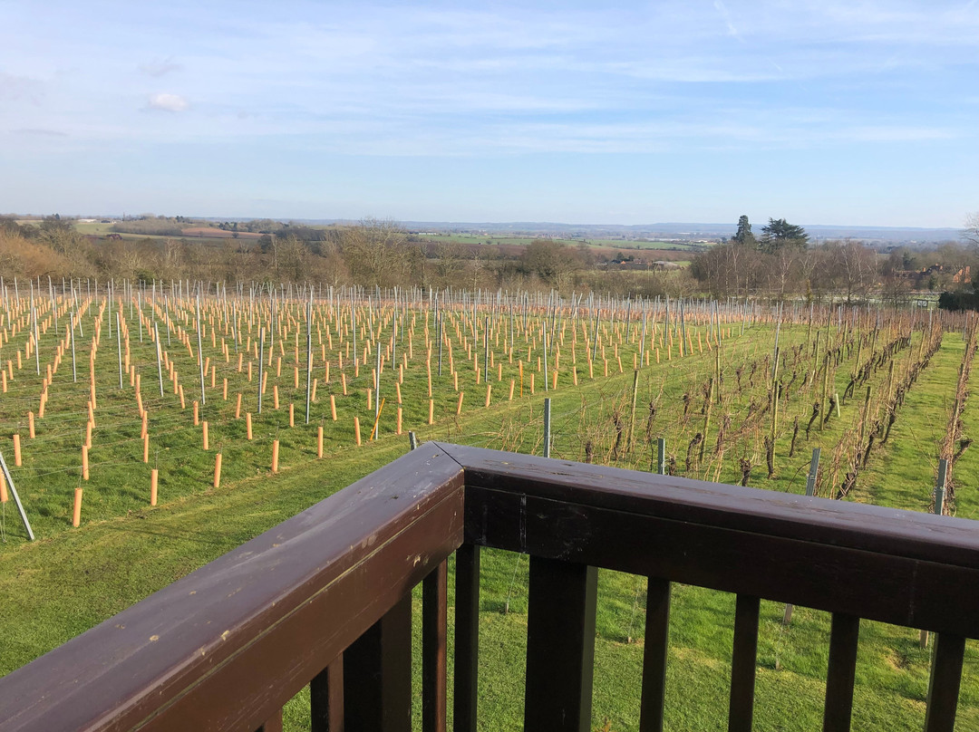 Welcombe Hills Vineyard景点图片