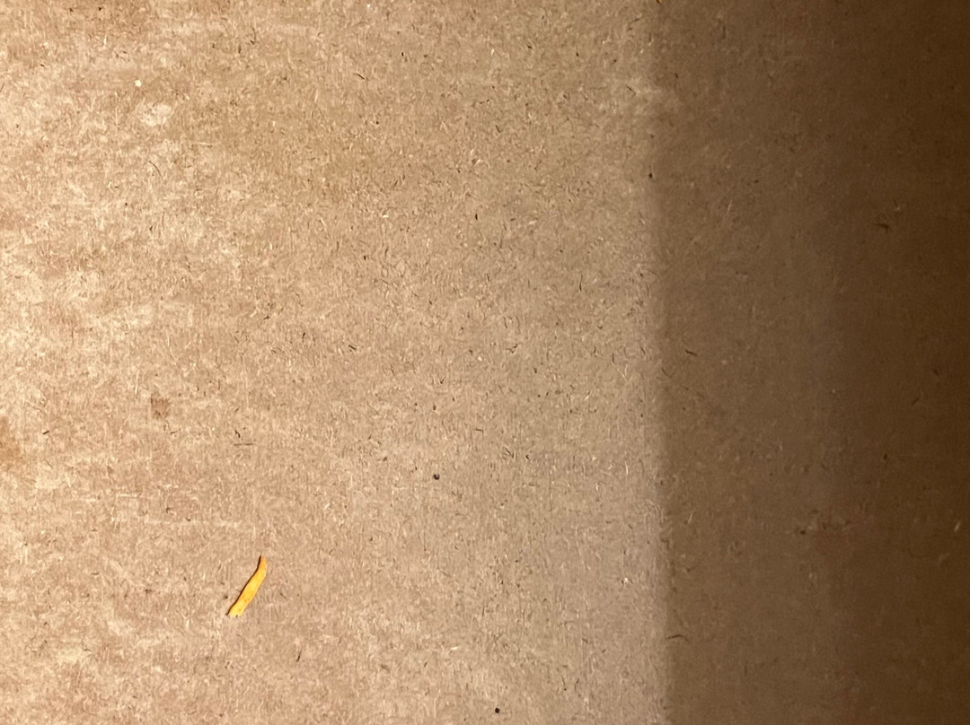 Wyndham Garden Cross Lanes Charleston主图