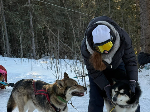 Sluice Box Sled Dogs-费尔班克斯必去景点