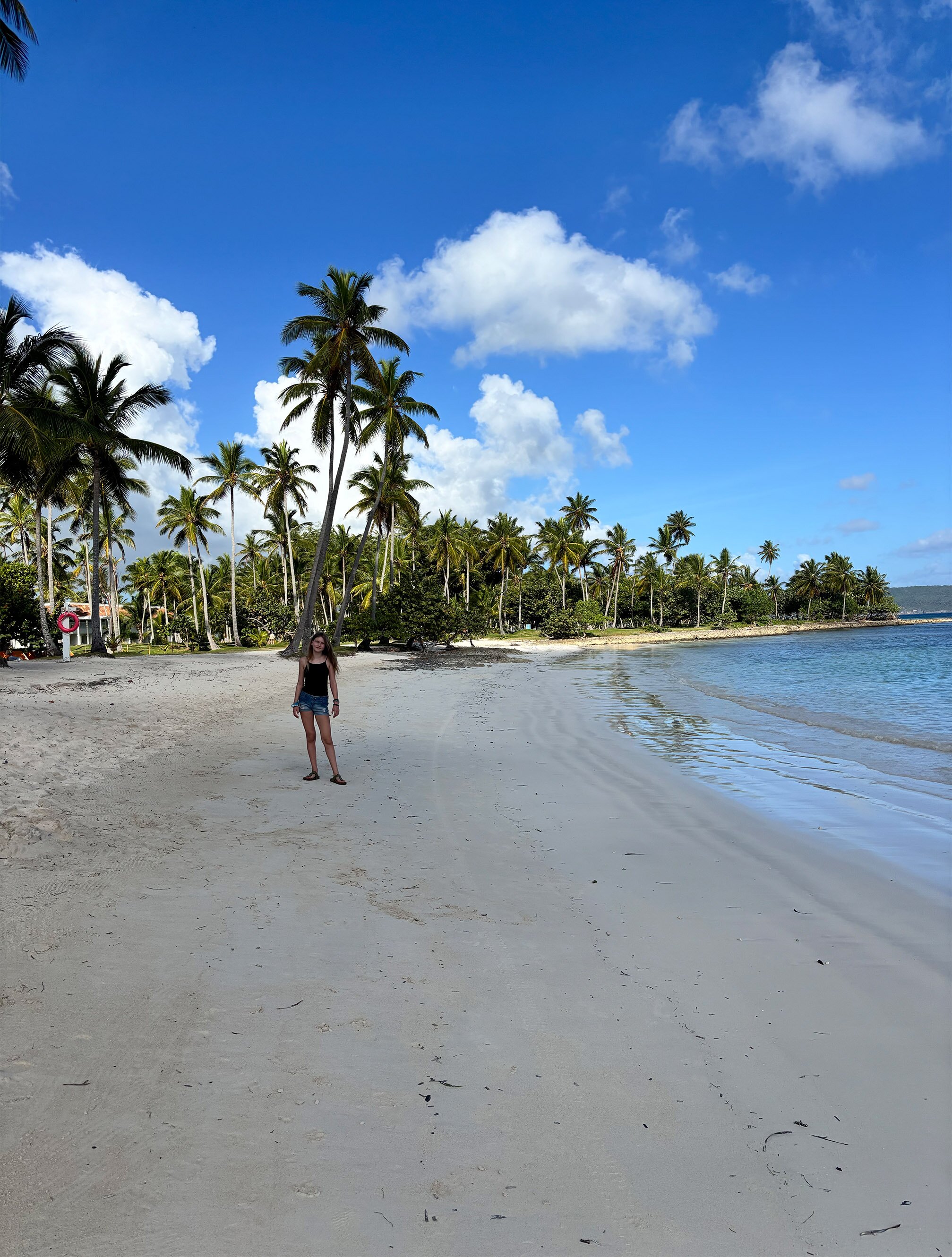 Wyndham Alltra Samana-泳池