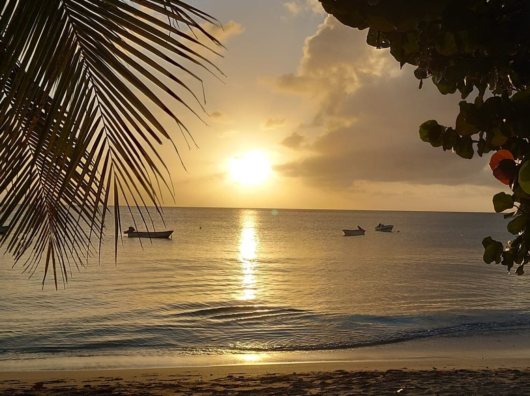 Posada Old Town Bay主图