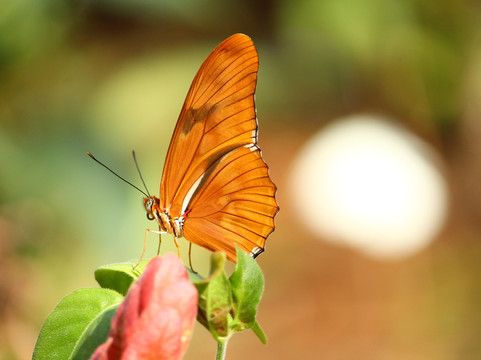 Stone Zoo-Stoneham必去景点