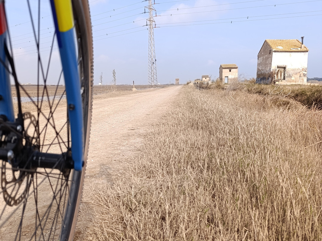 MO'bike景点图片