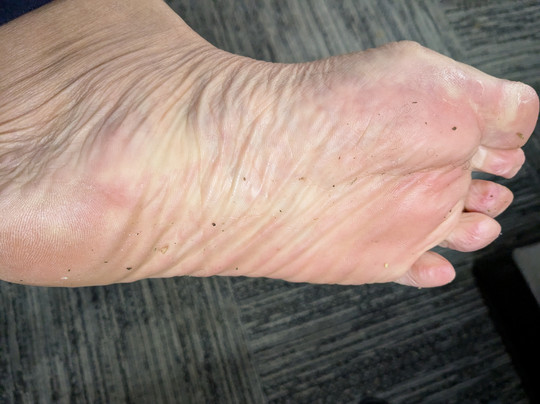 Red Roof PLUS+ & Suites Savannah - I-95主图