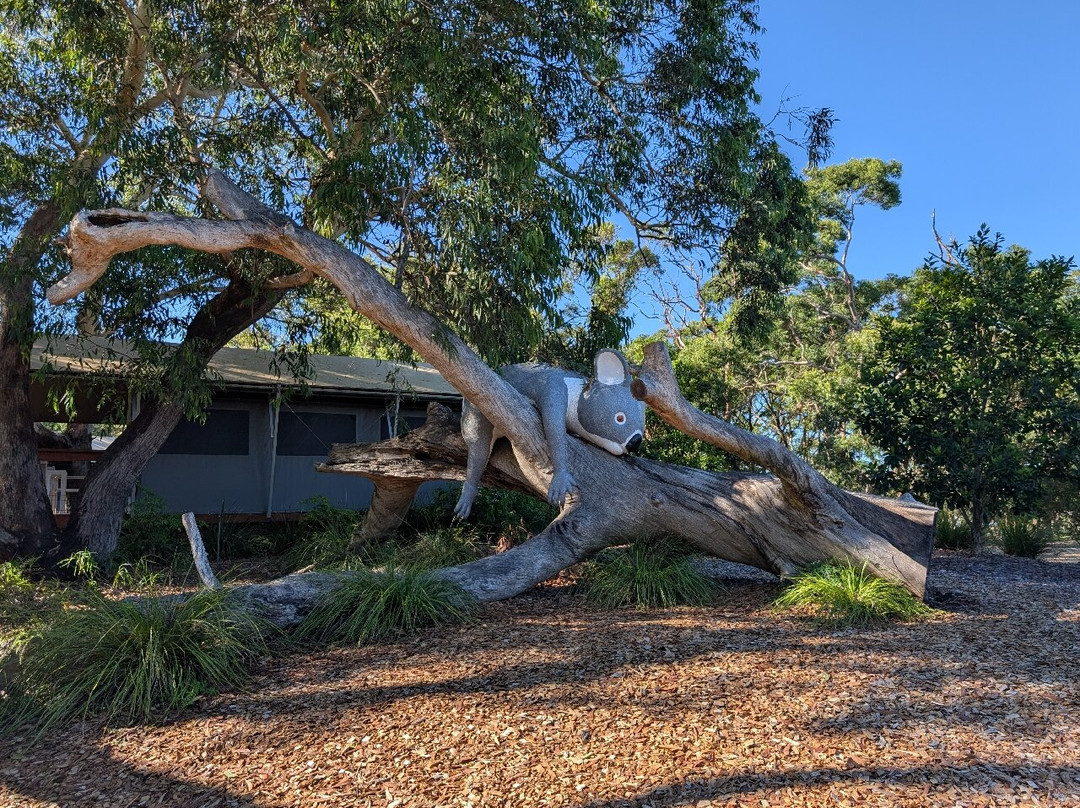 Port Stephens Koala Sanctuary景点图片