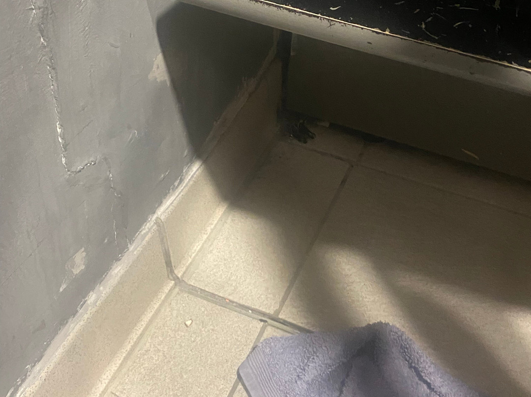 Maldron Hotel Tallaght主图