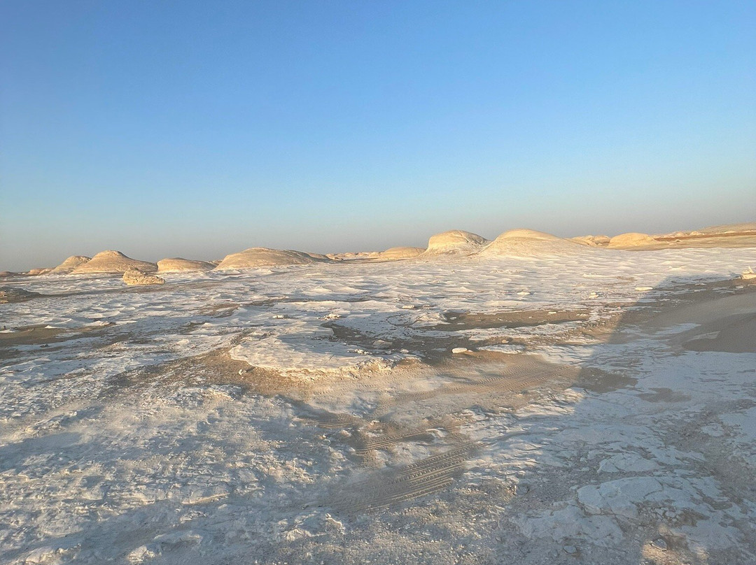 White Desert Safari景点图片