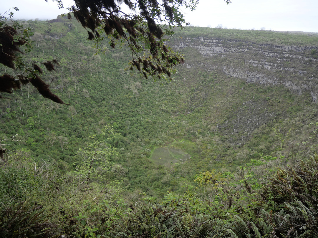 Cerro Mesa-阿约拉港必去景点