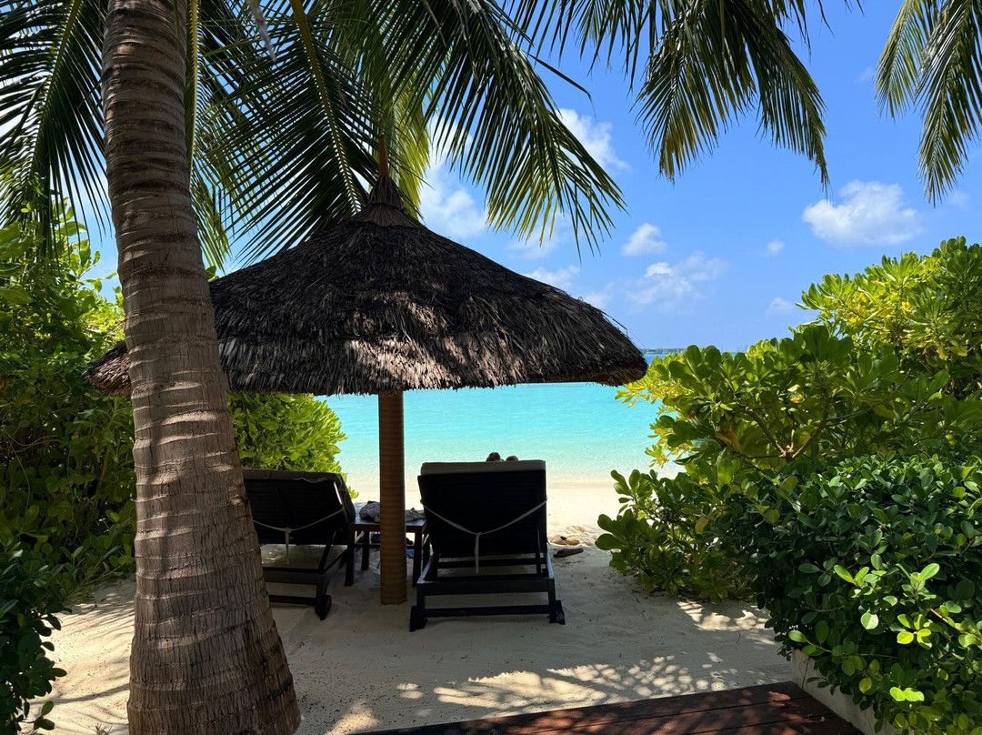 Ozen Reserve Bolifushi主图