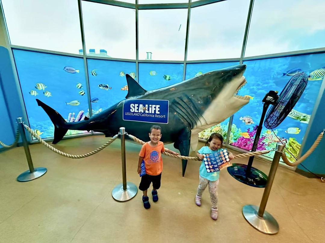 SEA LIFE Aquarium-卡尔斯巴德必去景点