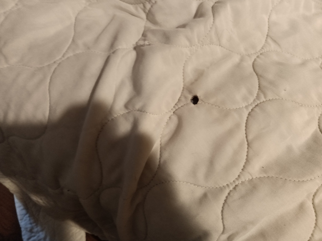 阿塔拉戴斯酒店主图