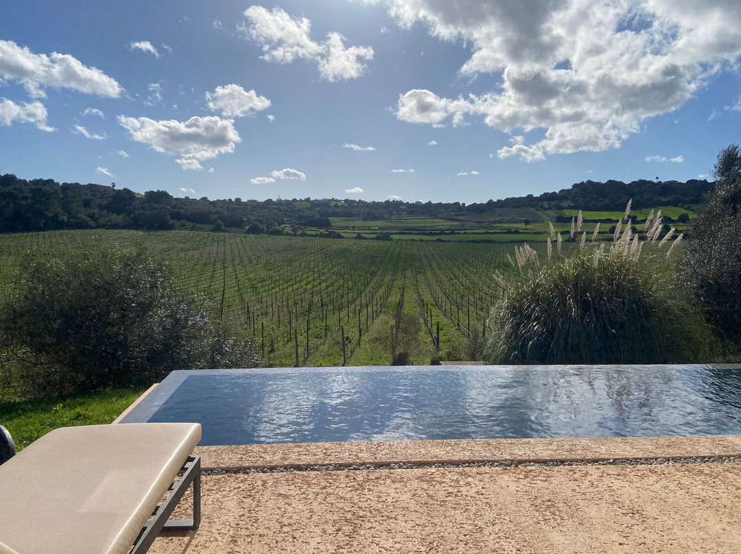 Son Penya Petit Hotel & Spa主图