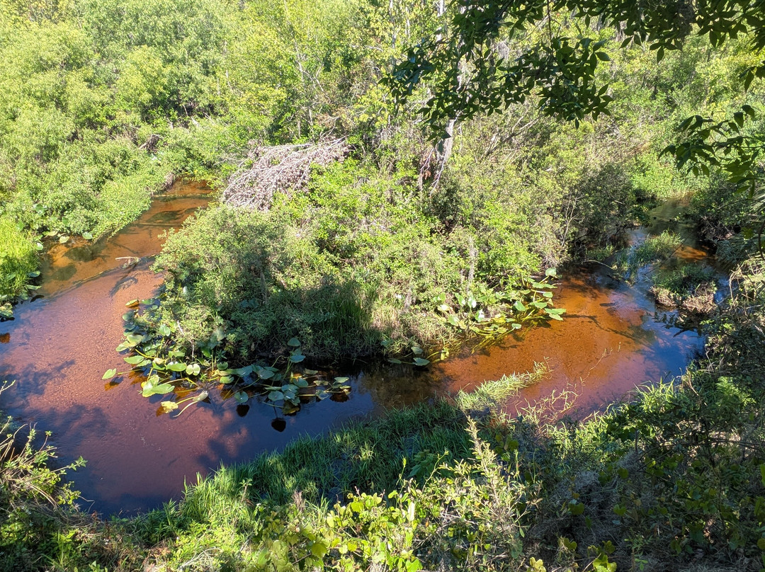 Tiger Creek Preserve-莱克威尔士必去景点