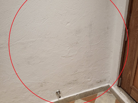 Masaya波哥大主图