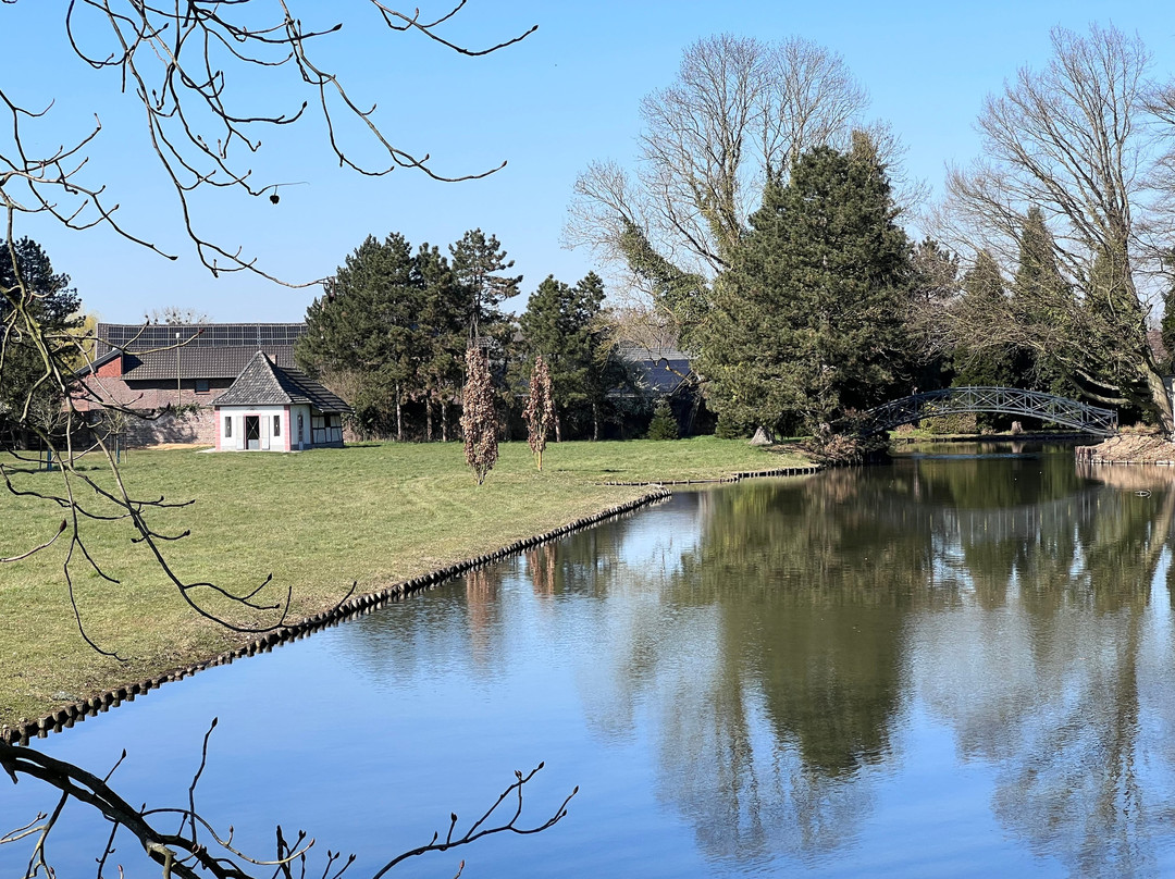 Schloss Rurich景点图片