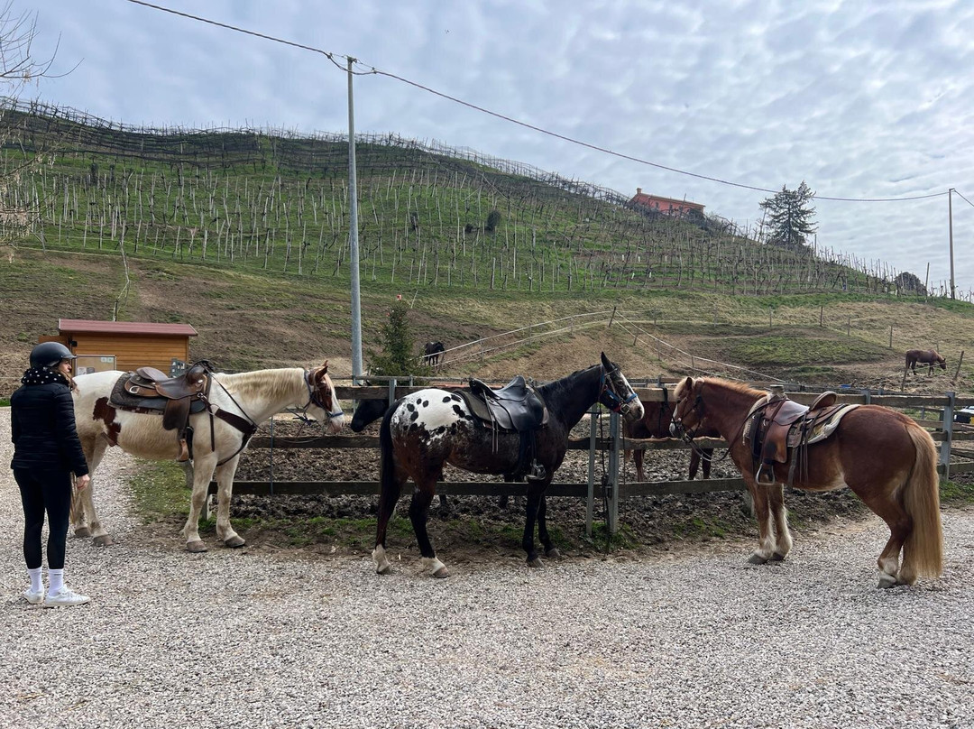 Ranch Val Di Ronch-Rolle必去景点