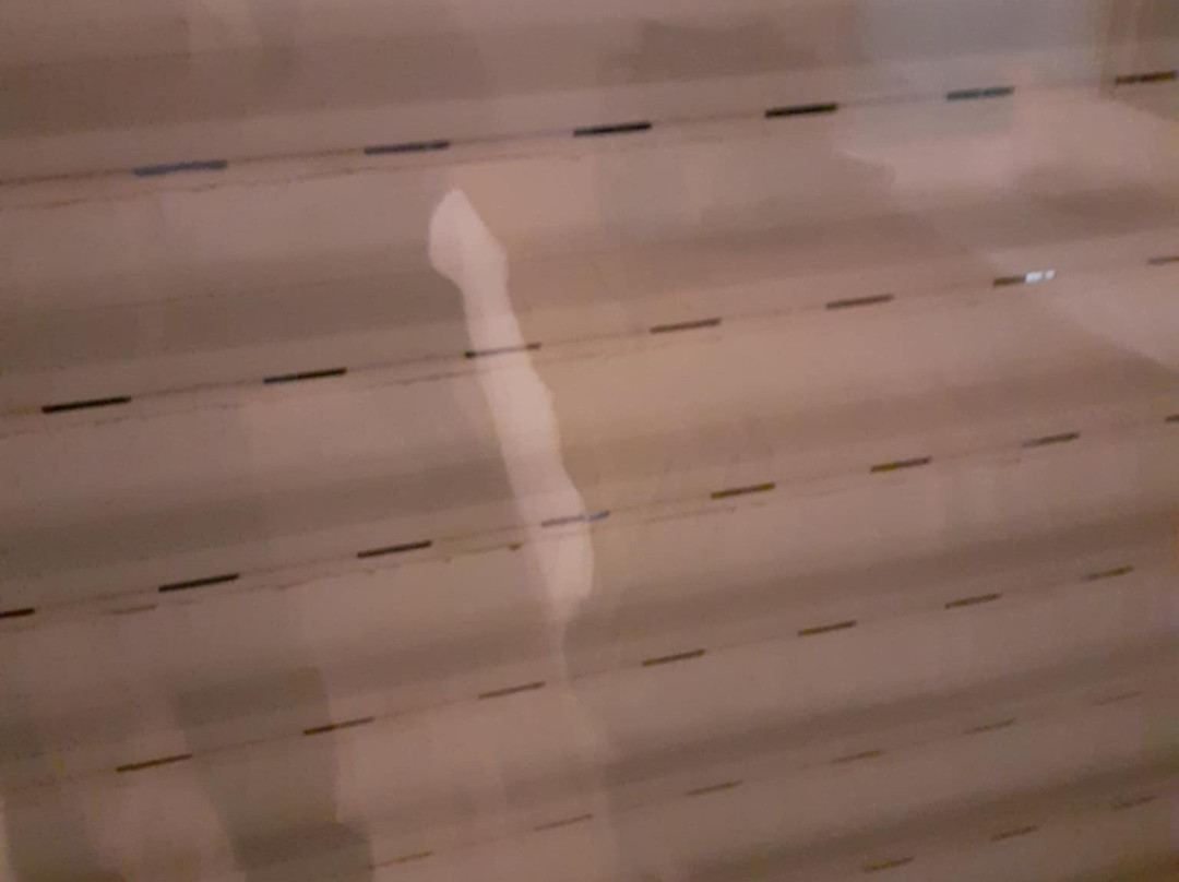 Mar i Cel Hotel主图