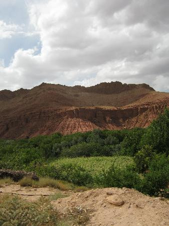 Auberge Camping Toda Alemdoun主图