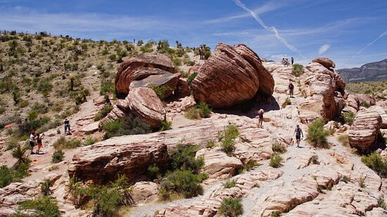 拉斯维加斯卡里奇豪斯酒店主图