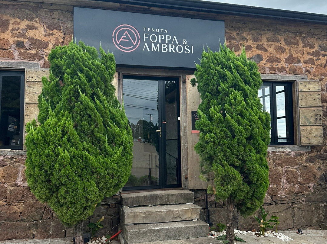 Vinícola Foppa & Ambrosi景点图片